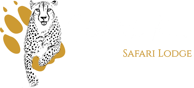 Cheetah Paw Safari Lodge